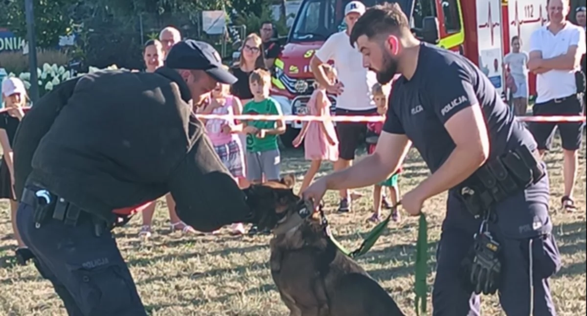 Pułtuscy policjanci na Pikniku Militarnym. Uwagę przyciągał pokaz psów