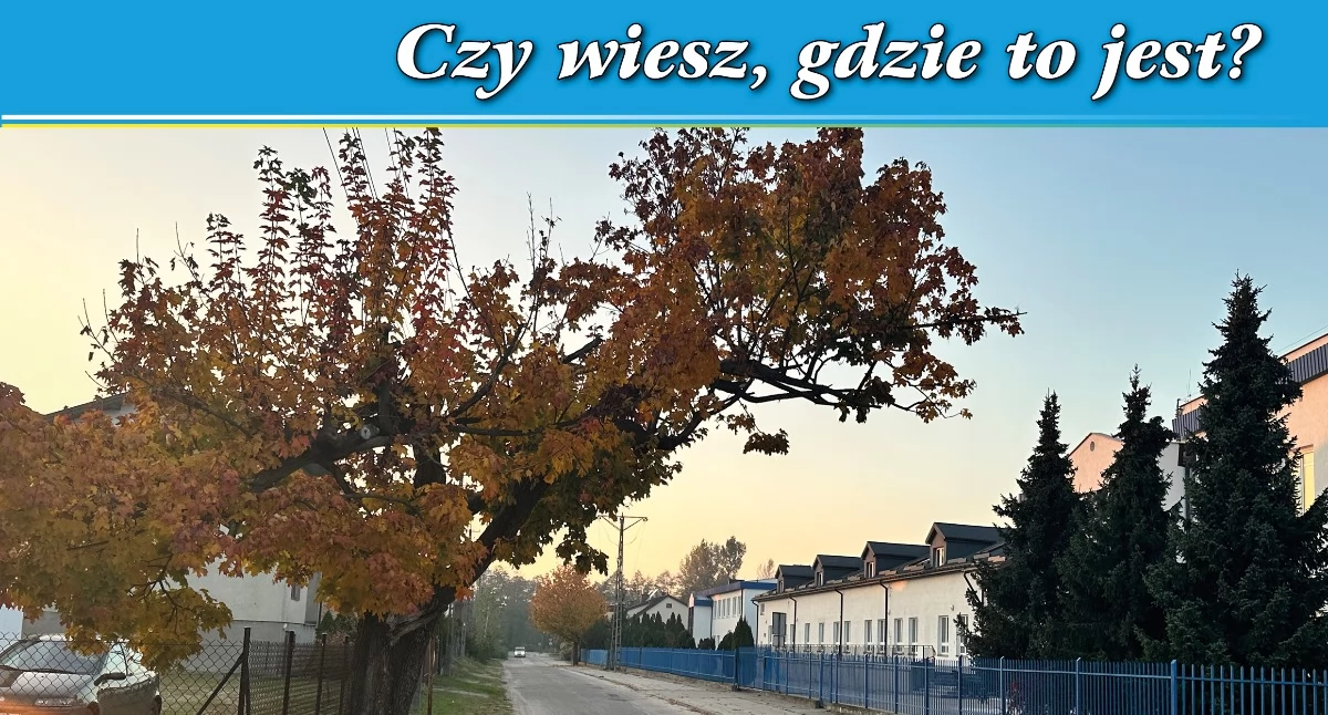 Konkursy , wiesz gdzie konkurs - zdjęcie, fotografia