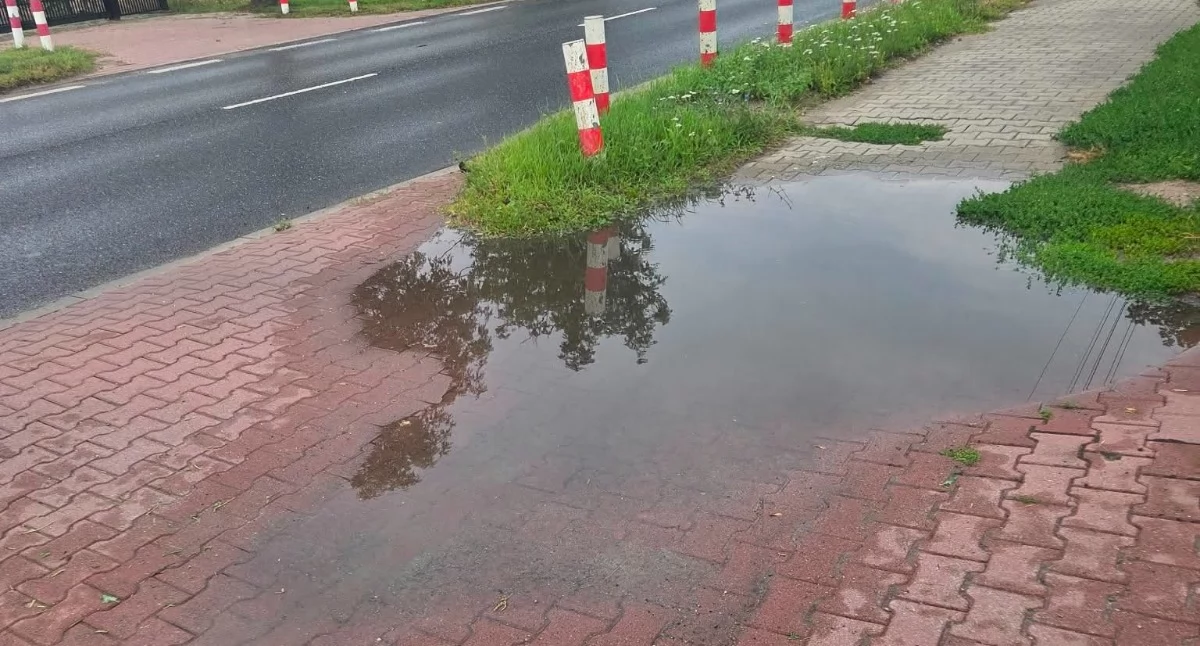 Interwencje , lokalizacja wypoczynkowa Pułtuszczaków! - zdjęcie, fotografia