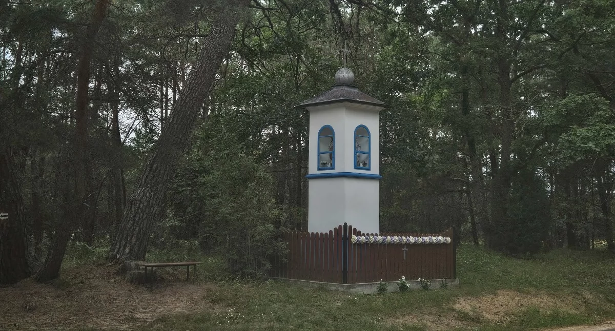 Konkursy , wiesz gdzie konkurs - zdjęcie, fotografia