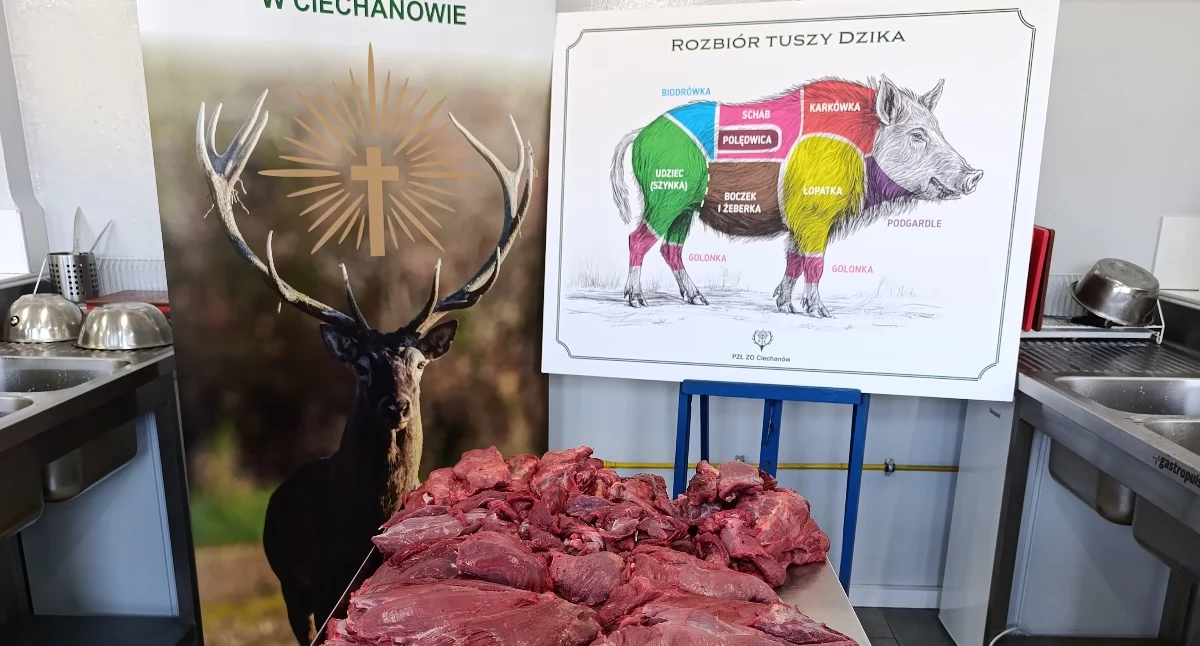 Społeczeństwo, Dziczyzna marnowania myśliwi wykorzystują upolowane zwierzę - zdjęcie, fotografia