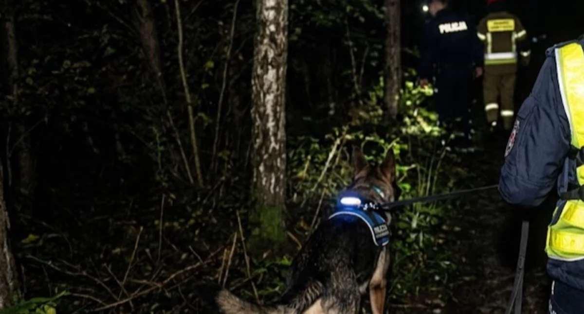 Nocne poszukiwania w gminie Zatory. Pies tropiący odnalazł zaginionego 34-latka