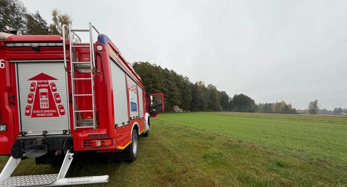 Straż Pożarna, Pożar pozostałości roślinnych Pniewie Kolonii Interweniowali strażacy - zdjęcie, fotografia