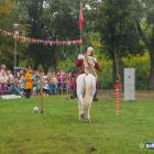 zdjęcie nr 76