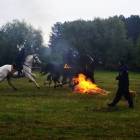 zdjęcie nr 104