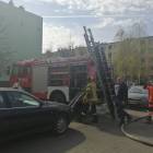 Fotka nr 3 z 14
