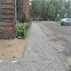 Fotka nr 2 z 10