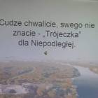 zdjęcie nr 10