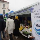 zdjęcie nr 33