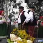 zdjęcie nr 258