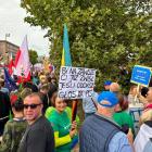 zdjęcie nr 19