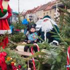 zdjęcie nr 24
