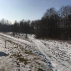 Fotka nr 1 z 4