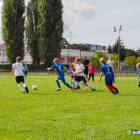 zdjęcie nr 114