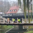 zdjęcie nr 9