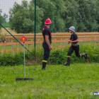 zdjęcie nr 43