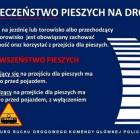 Fotka nr 3 z 4
