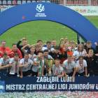zdjęcie nr 13