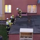 Fotka nr 1 z 4