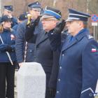zdjęcie nr 106