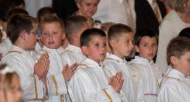 zdjęcie nr 11