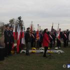 zdjęcie nr 15