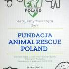 Fotka nr 3 z 4
