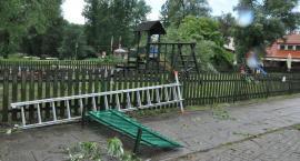 zdjęcie nr 15