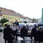 zdjęcie nr 15