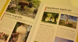 zdjęcie nr 8