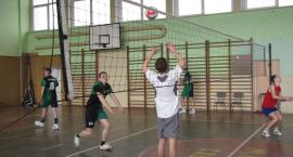 Fotka nr 5 z 6