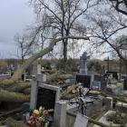 zdjęcie nr 32
