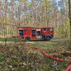 Fotka nr 2 z 11