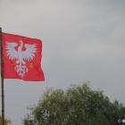 zdjęcie nr 129
