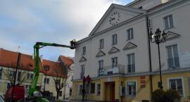 zdjęcie nr 8