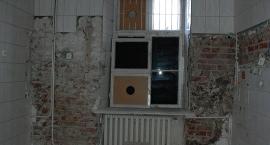 zdjęcie nr 8