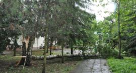 zdjęcie nr 30