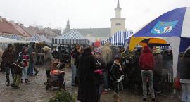 zdjęcie nr 31