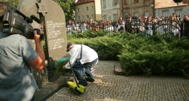 zdjęcie nr 12