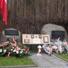 zdjęcie nr 38