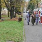 zdjęcie nr 9