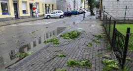 zdjęcie nr 14