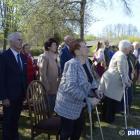 zdjęcie nr 31
