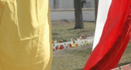 zdjęcie nr 8