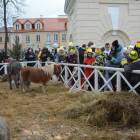 zdjęcie nr 15