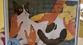 Imię, które niesie pomoc. Stowarzyszenie Pan Kot ucz&hellip;