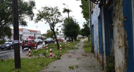 zdjęcie nr 8