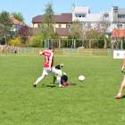 zdjęcie nr 16