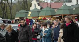 zdjęcie nr 8