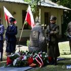 zdjęcie nr 16